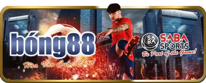 Cá Cược Thể Thao MCW19